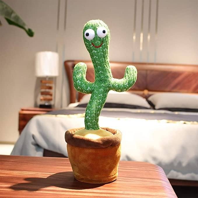 Marcuss le cactus - Asterza